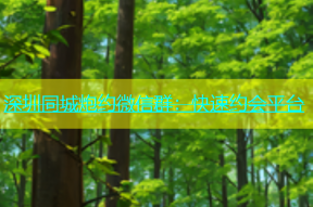 深圳同城炮约微信群：快速约会平台
