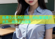 免费个人CRM系统：轻松管理客户关系，提升工作效率