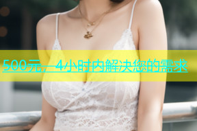 500元，4小时内解决您的需求