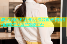 成品视频CRM999：高效管理视频创作与客户关系的智能平台