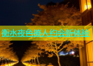 衡水夜色撩人约会新体验