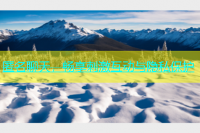 匿名聊天，畅享刺激互动与隐私保护