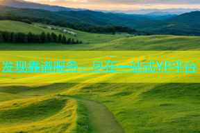 发现靠谱服务，尽在一站式YP平台
