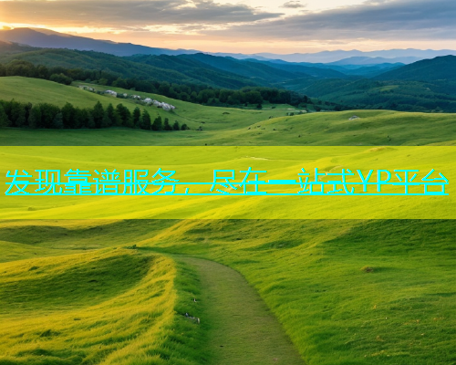 发现靠谱服务，尽在一站式YP平台  第1张