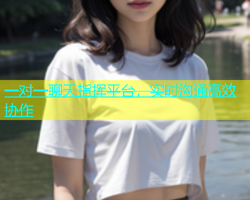 一对一聊天指挥平台，实时沟通高效协作  第1张