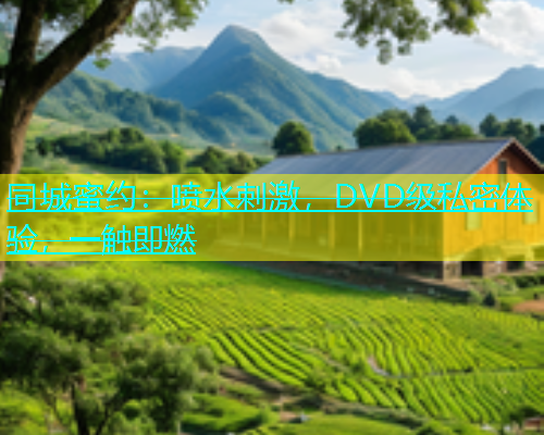 同城蜜约：喷水刺激，DVD级私密体验，一触即燃  第1张