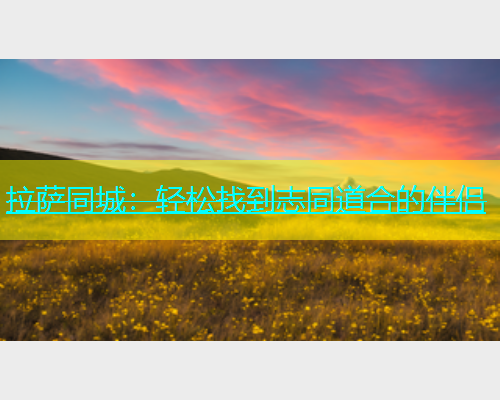 拉萨同城：轻松找到志同道合的伴侣  第1张