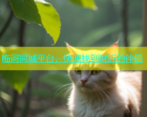 临河同城平台，快速找到附近的伴侣  第2张