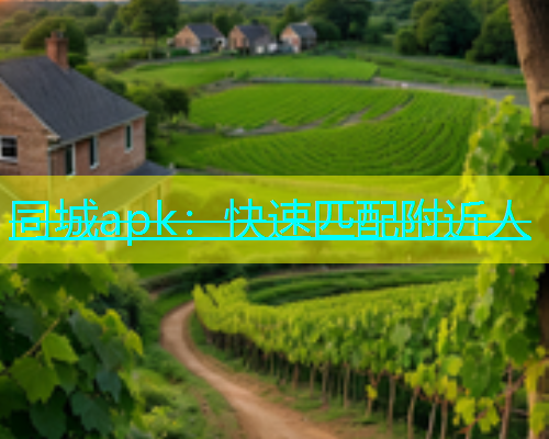 同城apk：快速匹配附近人  第1张