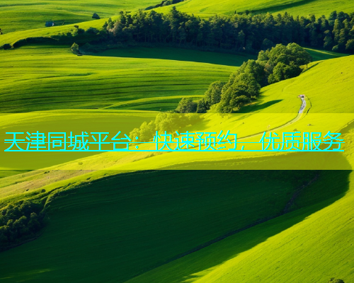 天津同城平台：快速预约，优质服务  第1张