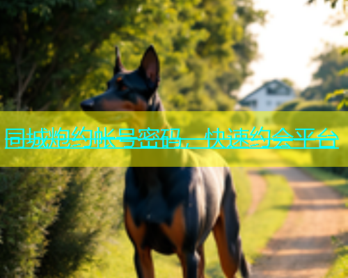 同城炮约帐号密码，快速约会平台  第1张