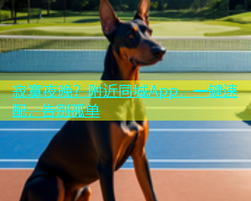 寂寞夜晚？附近同城App，一键速配，告别孤单  第1张